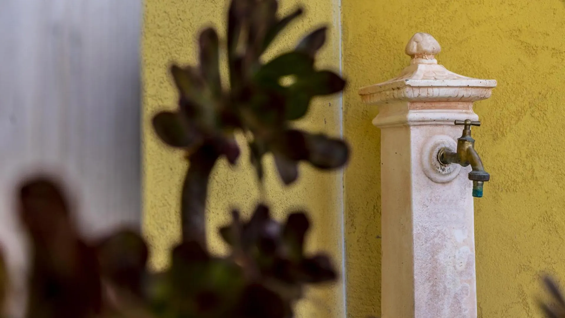 S'Apposentu Villa Sant'Anna Arresi Holiday home